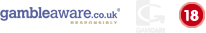 Archived footer information graphic